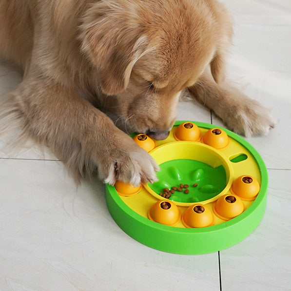 Dog's Slow Feeder Puzzle Bowl - Barking Dog Shop