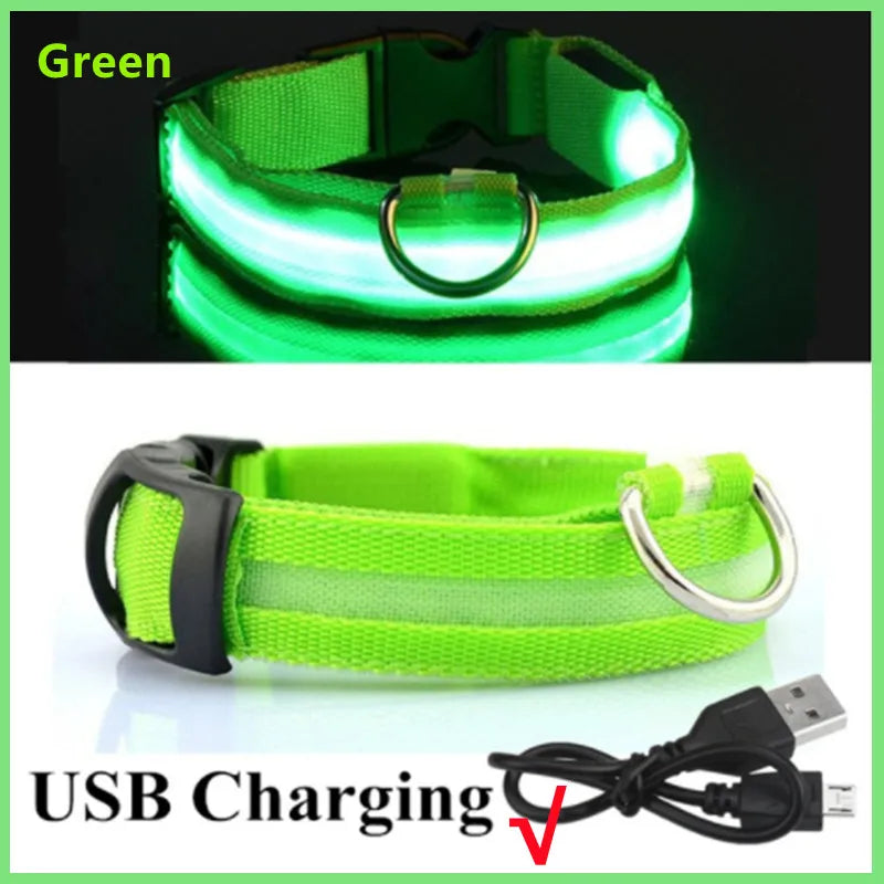 Dog Collar USB Rechargeable Luminous - Barking Dog Shop