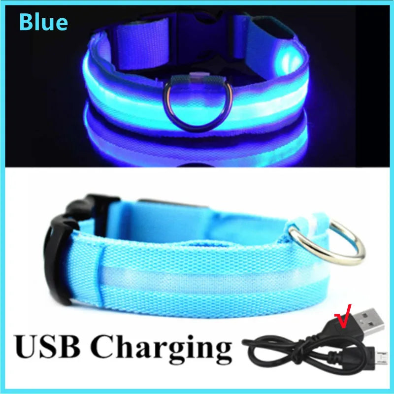 Dog Collar USB Rechargeable Luminous - Barking Dog Shop