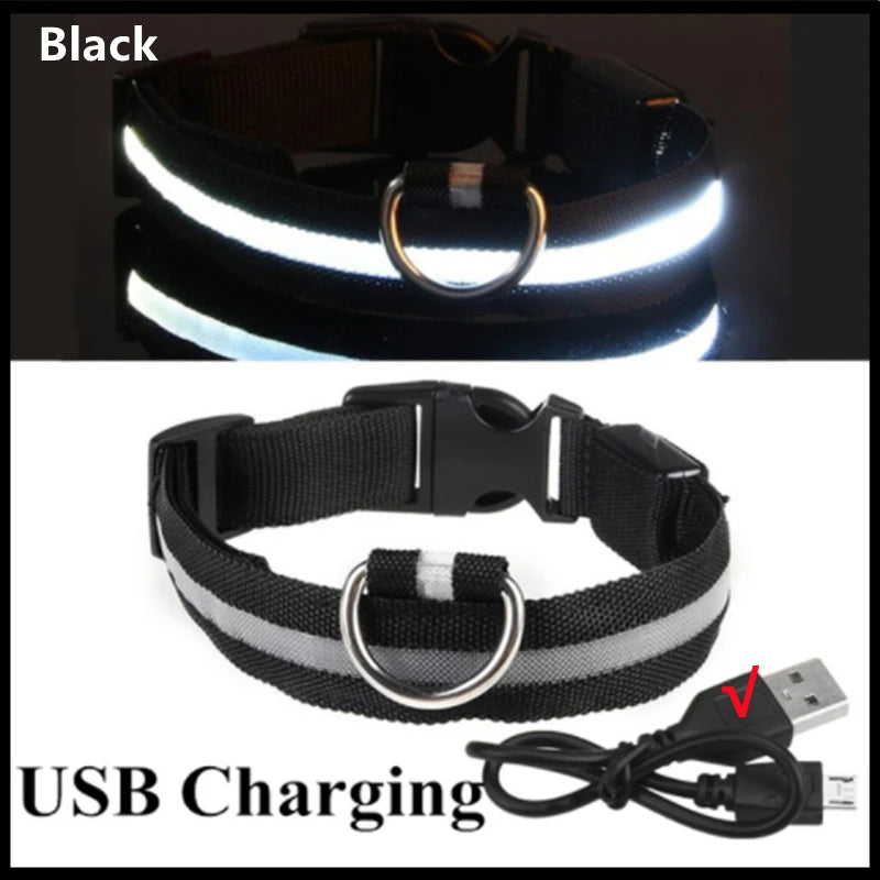 Dog Collar USB Rechargeable Luminous - Barking Dog Shop