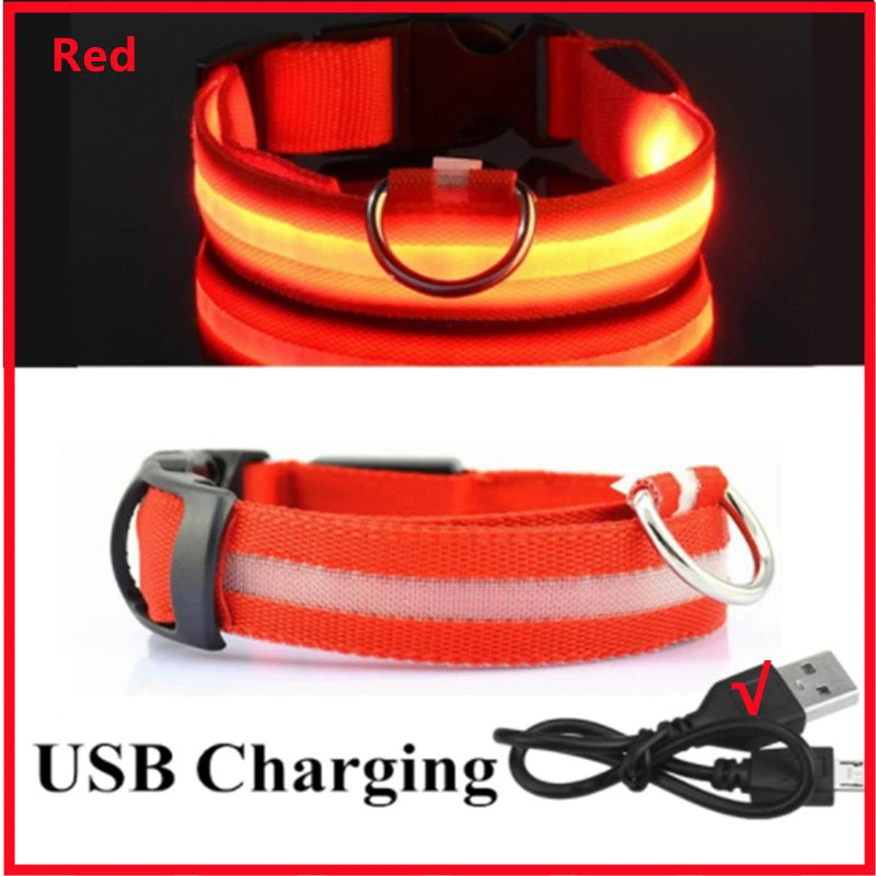 Dog Collar USB Rechargeable Luminous - Barking Dog Shop