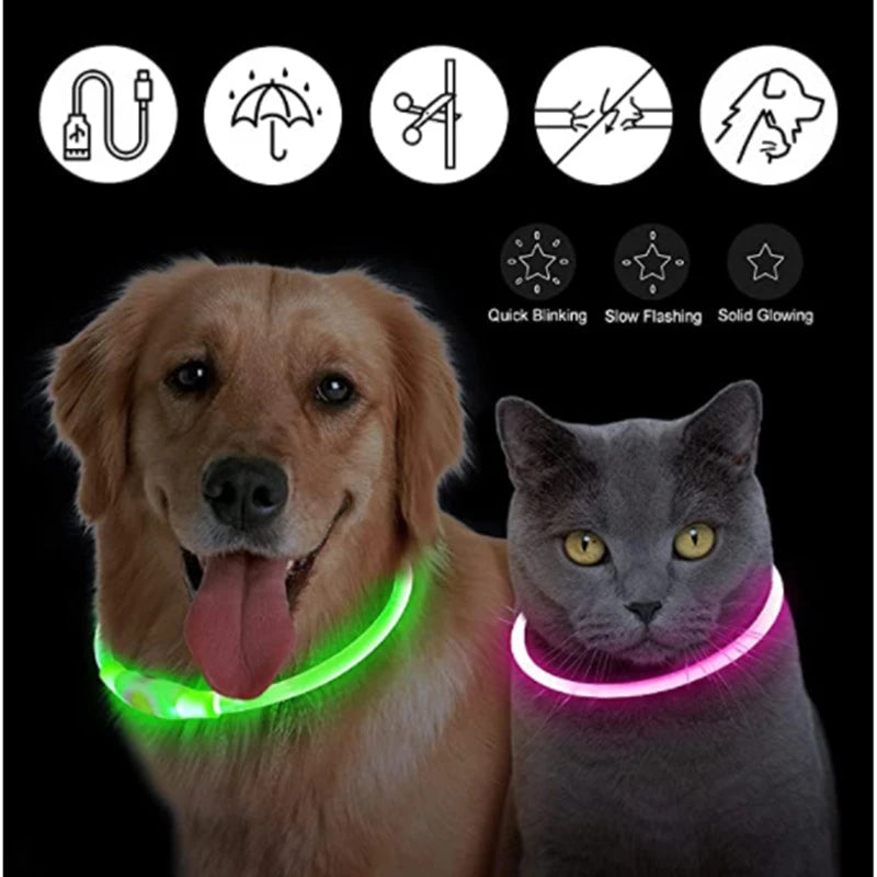 Dog Collar USB Rechargeable Luminous - Barking Dog Shop