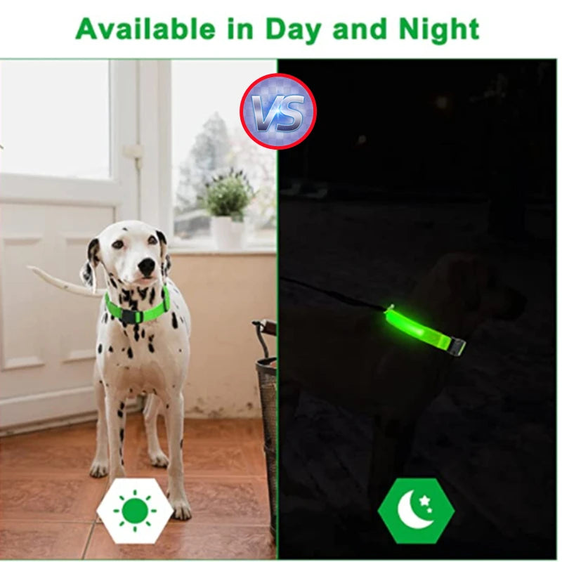 Dog Collar USB Rechargeable Luminous - Barking Dog Shop