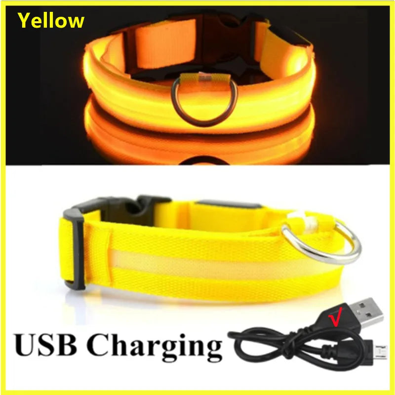 Dog Collar USB Rechargeable Luminous - Barking Dog Shop