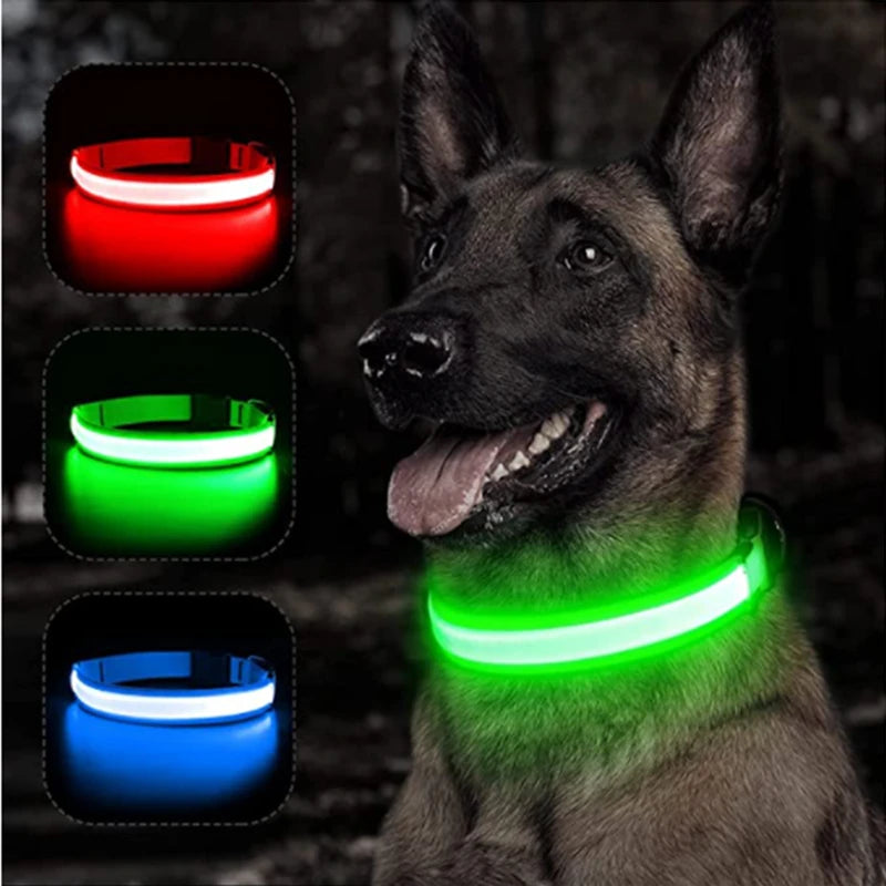 Dog Collar USB Rechargeable Luminous - Barking Dog Shop