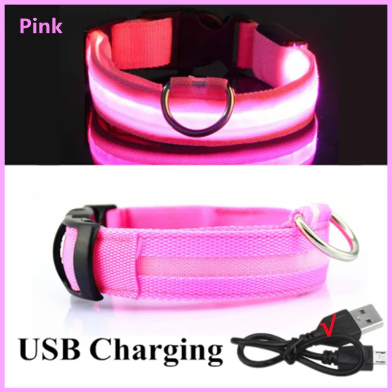 Dog Collar USB Rechargeable Luminous - Barking Dog Shop