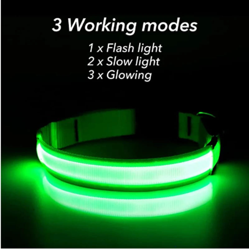 Dog Collar USB Rechargeable Luminous - Barking Dog Shop