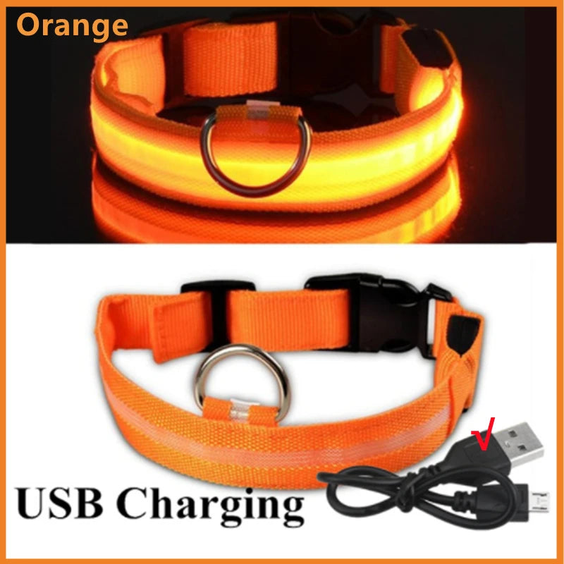 Dog Collar USB Rechargeable Luminous - Barking Dog Shop