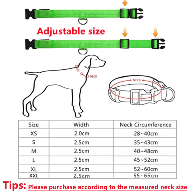 Dog Collar USB Rechargeable Luminous - Barking Dog Shop